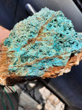 24cms DRUZY CHRYSOCOLLA PERU COPPER 2000 DISCOVERY DB169