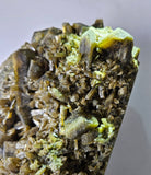 19ms CLINOZOISITE EPIDOTE CRYSTALS PERU MINERAL SPECIMEN COLLECTOR  KB177