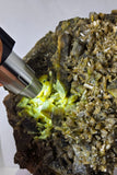 19ms CLINOZOISITE EPIDOTE CRYSTALS PERU MINERAL SPECIMEN COLLECTOR  KB177