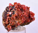 4.2cm VANADINITE HOLLANDITE CRYSTAL MIBLADEN MOROCCO  MINERAL SPECIMEN WB32