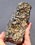 2.5KG MAGNESIOHASTINGSITE CRYSTALS HORNBLENDE PERU BLACK EDENITE HUDSONITE IB40