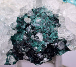 5cms GEM CLINOATACAMITE CRYSTAL MALACHITE LILY MINE 2000 DISCOVERY PERU AB159