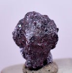 0.8cms PROUSTITE RED RUBY SILVER PERU UCHUCCHACUA MINE MINERAL SPECIMEN HB210