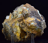17cms SELENITE CRYSTAL LILY MINE 2000 DISCOVERY PERU MINERAL SPECIMEN TB123