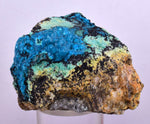 5.4cms QUARTZ CHRYSOCOLLA BOTRYOIDAL TENTADORA MINE PERU MINERAL SPECIMEN CB118