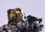 2.4cms GOLDEN RUTILE HEMATITE SPRAY NEEDLES CRYSTALS TITANIUM BAHIA BRAZIL  XB07