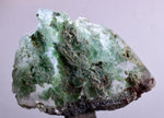 5.7cms GEM SELENITE CHRYSOCOLLA CRYSTAL LILY MINE 2000 DISCOVERY PERU TB52