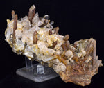 14cms CALCITE TOOTH DOG WITH QUARTZ CRYSTALS PERU SHINY MINERAL SPECIMEN GB47