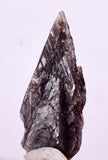 3.6cm GEM AXINITE CRYSTAL PERU SUPER SHINY MINERAL SPECIMEN COLLECTOR AB32