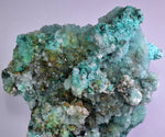20cm GEM CHRYSOCOLLA IN SELENITE LILY MINE PERU MALACHITE STALACTITES CB359