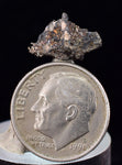 1.3cms NATIVE SILVER WIRE PERU UCHUCCHACUA MINE MINERAL SPECIMEN HB256