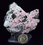 6.5cms RHODOCHROSITE ROSETTE PYRITE CRYSTALS PERU MINERAL SPECIMEN RB573