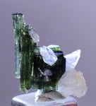 1.9cms TOURMALINE CLEAVELANDITE ALBITE ELBAITE BRASIL MINAS GERAIS MINERAL WB01
