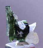 1.9cms TOURMALINE CLEAVELANDITE ALBITE ELBAITE BRASIL MINAS GERAIS MINERAL WB01