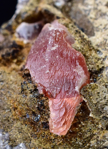 6.4cms GEM RHODOCHROSITE CRYSTALS PERU UCHUCCHACUA MINE MINERAL SPECIMEN RB395