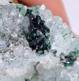 8.5cms ATACAMITE DRUZY MALCHITE CHRYSOCOLLA LILY MINE PERU MINERAL AB141