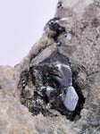 6.1cms ACANTHITE QUARTZ PYRARGYRITE CHALCOPYRITE CRYSTALS MINERAL PERU HB181