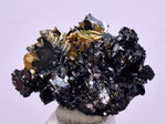 2.5cms GOLDEN RUTILE HEMATITE SPRAY NEEDLES CRYSTALS TITANIUM BAHIA BRAZIL  XB19