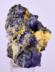3.3cms GEM WULFENITE FLUORITE MIMETITE CRYSTALS ALAMO ARIZONA USA MINERAL YB40