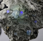 8.8ms  GREEN BLUE FLUORITE PYRITE CRYSTAL PERU HUANZALA MINE SHINY KB18