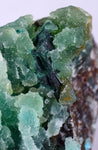 5.1cms DRUZY CHRYSOCOLLA QUARTZ LILY MINE PERU COPPER 2000 DISCOVERY DB09
