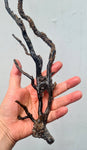 41cms GOLDEN BLACK CORAL PERU NATURAL BRANCH SEA GENUINE VB01