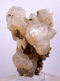 7.5cms CALCITE WITH QUARTZ CRYSTALS PERU SHINY MINERAL SPECIMEN COLLECTOR GB07