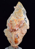 6.8cms LIMONITE IN SELENITE CRYSTAL COLLECTOR PERU MINERAL SPECIMEN TB108
