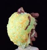 2.5cm PHOSPHOPHYLLITE APPLE BOTRYOIDAL CRYSTAL HOLY GRAIL OF MINERALS BOLIVIA