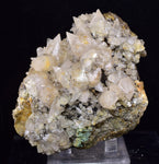 9.5cms CALCITE TOOTH DOG WITH QUARTZ CRYSTALS PERU SHINY MINERAL SPECIMEN GB46