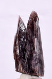 3.6cm GEM AXINITE TWIN CRYSTAL  PERU SUPER SHINY MINERAL SPECIMEN AB35