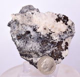 6.6cms NATIVE SILVER WIRE CALCITE PERU UCHUCCHACUA MINE MINERAL SPECIMEN HB246