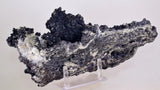 26cms MUSEUM SPHALERITE CHALCOPYRITE PYRITE  QUARTZ CRYSTALS PERU MB119