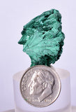 3cms MALACHITE CRYSTALS CONGO MINDINGI MINE SUPER SHINY MINERAL SPECIMEN UB92