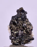 1.2cms NATIVE SILVER WIRE PERU ACANTHITE UCHUCCHACUA MINE MINERAL SPECIMEN HB201