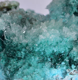 20cm GEM CHRYSOCOLLA IN SELENITE LILY MINE PERU MALACHITE STALACTITES CB359