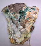 14cms GEM ATACAMITE INSIDE SELENITE CRYSTAL LILY MINE 2000 DISCOVERY PERU AB183