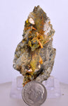 6.3cms GEM RARE WULFENITE MINI CRYSTALS ALAMO ARIZONA USA YB36