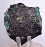 7.9cms DRUZY CHRYSOCOLLA QUARTZ MALACHITE BOTRYOIDAL PERU MINERAL SPECIMEN DB84