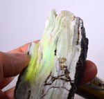 145grs GEM NATURAL SCULPTURE CACTUS SLAB STRONTIANITE ARAGONITE PERU SCENIC CB93