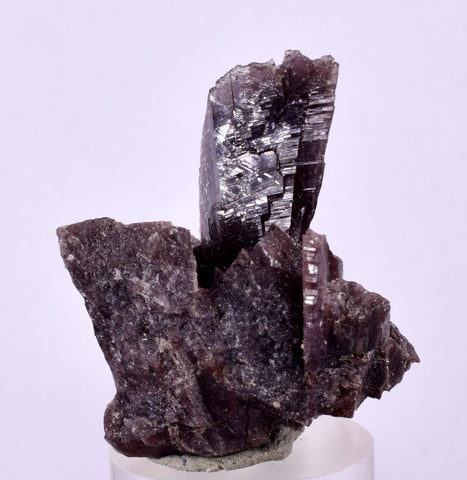 3.4cms PREMIUM AXINITE CRYSTALS PERU AESTHETIC COLLECTOR MINERAL SPECIMEN AB127