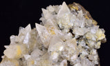 9.5cms CALCITE TOOTH DOG WITH QUARTZ CRYSTALS PERU SHINY MINERAL SPECIMEN GB46