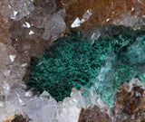 9.8cms DRUZY CHRYSOCOLLA MALACHITE QUARTZ LILY MINE PERU COPPER MINERAL DB54