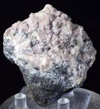 7.5cms PROUSTITE RED RUBY SILVER MINERAL PERU UCHUCCHACUA MINE SPECIMEN H313