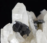 5.6cms HUBNERITE QUARTZ CRYSTALS MINERAL SPECIMEN COLLECTOR PERU MB06