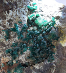 14.5cms DIOPTASE CRYSTALS PERU QUARTZ CHRYSOCOLLA MINERAL SPECIMEN KB41