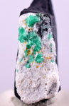 3.3cm EMERALD CRYSTAL PYRITE SLATE CALCITE QUARTZ COLOMBIA MINERAL SPECIMEN EB24
