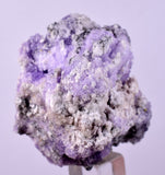 4.2cms COQUIMBITE ALUNOGEN CRYSTAL ROMERITE COPIATITE MINERAL SPECIMEN UB257