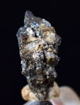 1.2cms NATIVE SILVER WIRE PERU UCHUCCHACUA MINE MINERAL SPECIMEN HB260
