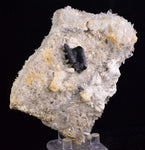 10.5cms HUBNERITE QUARTZ CRYSTALS MINERAL SPECIMEN COLLECTOR PERU MB113
